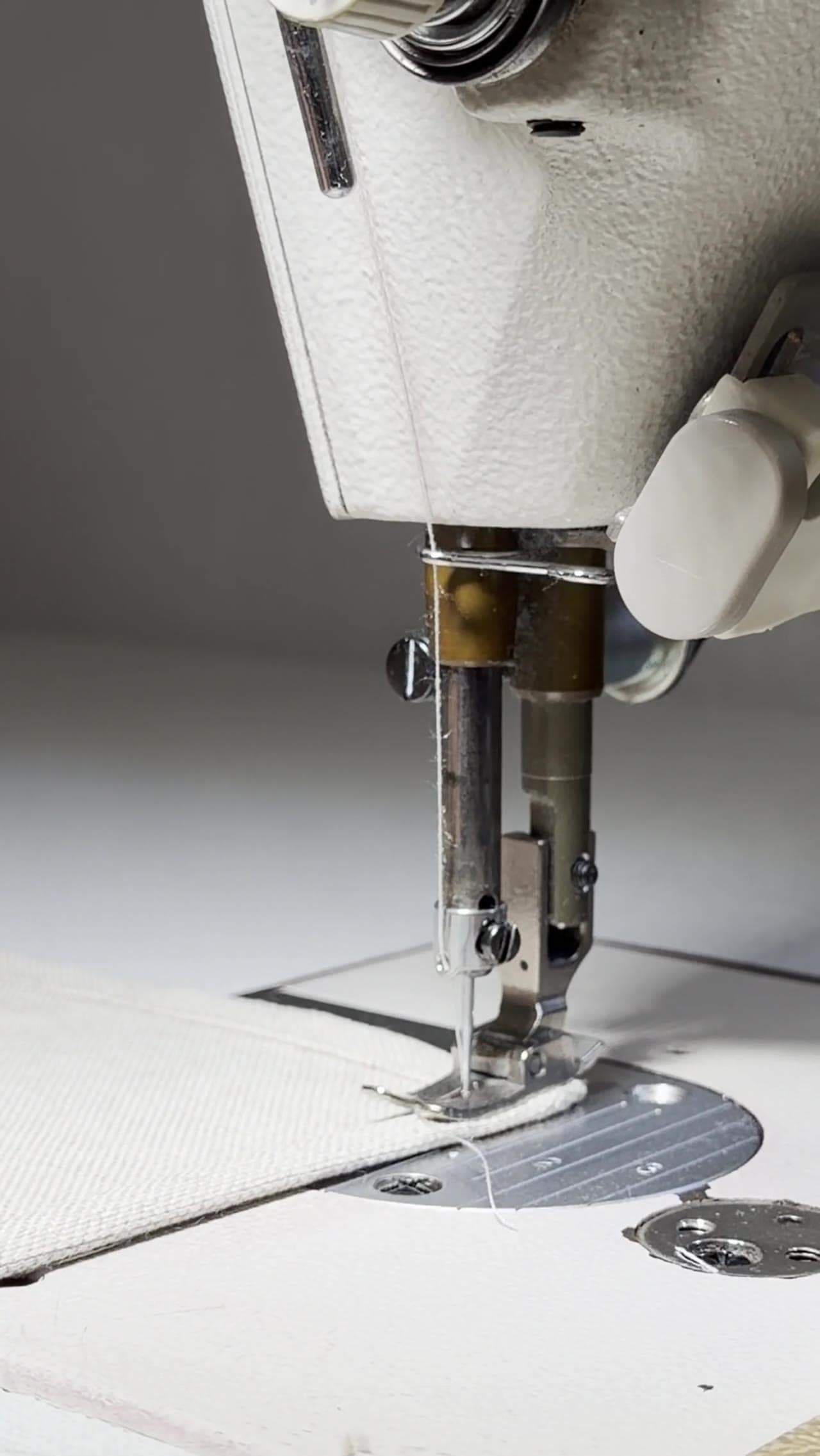 Agulha da máquina a coser a bainha, em detalhe